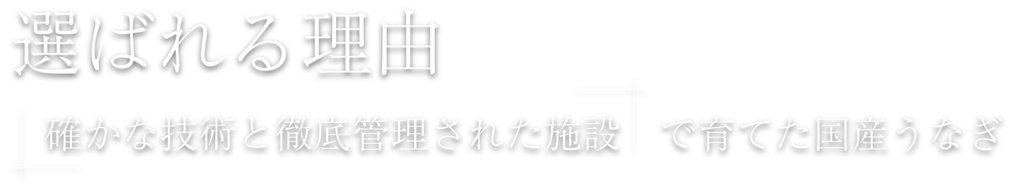 選ばれる理由